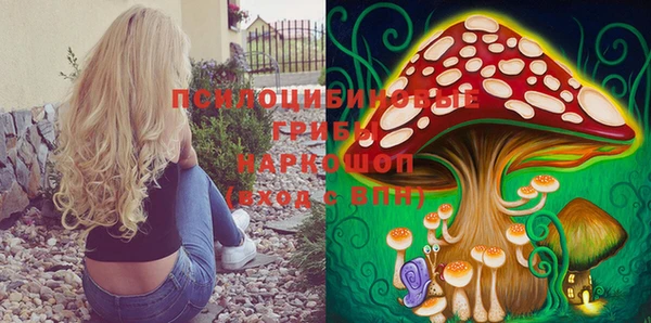 бошки Сосновка