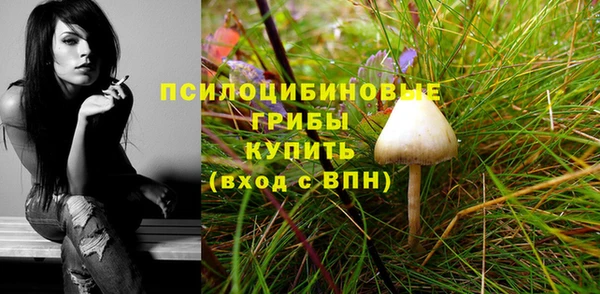 шишки Абдулино