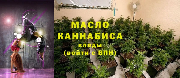 амф Каменка