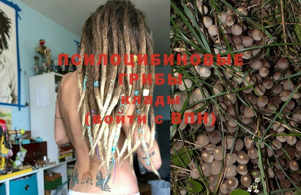 шишки Абдулино