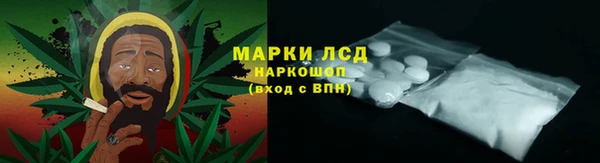гашик Сосновоборск