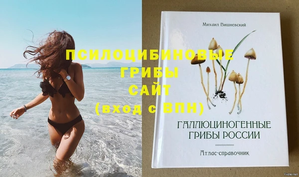 шишки Абдулино