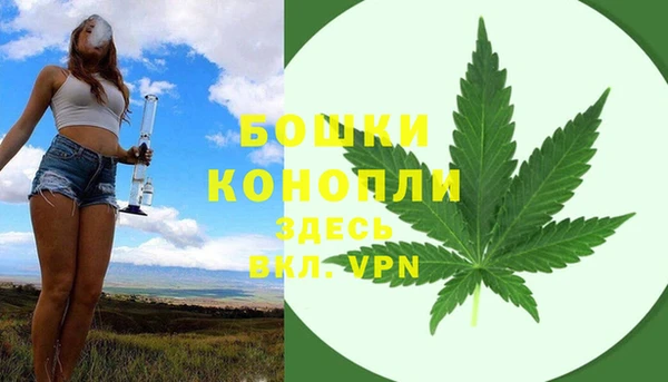 гашик Сосновоборск
