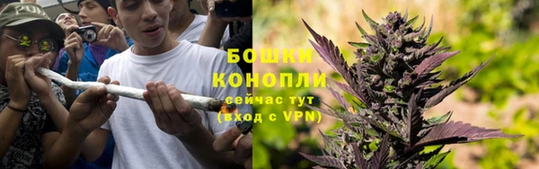 гашик Сосновоборск