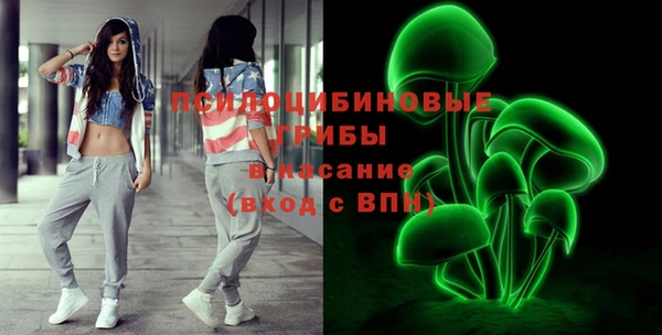 бошки Сосновка