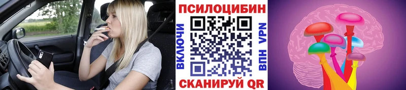 Галлюциногенные грибы прущие грибы  Кизляр 
