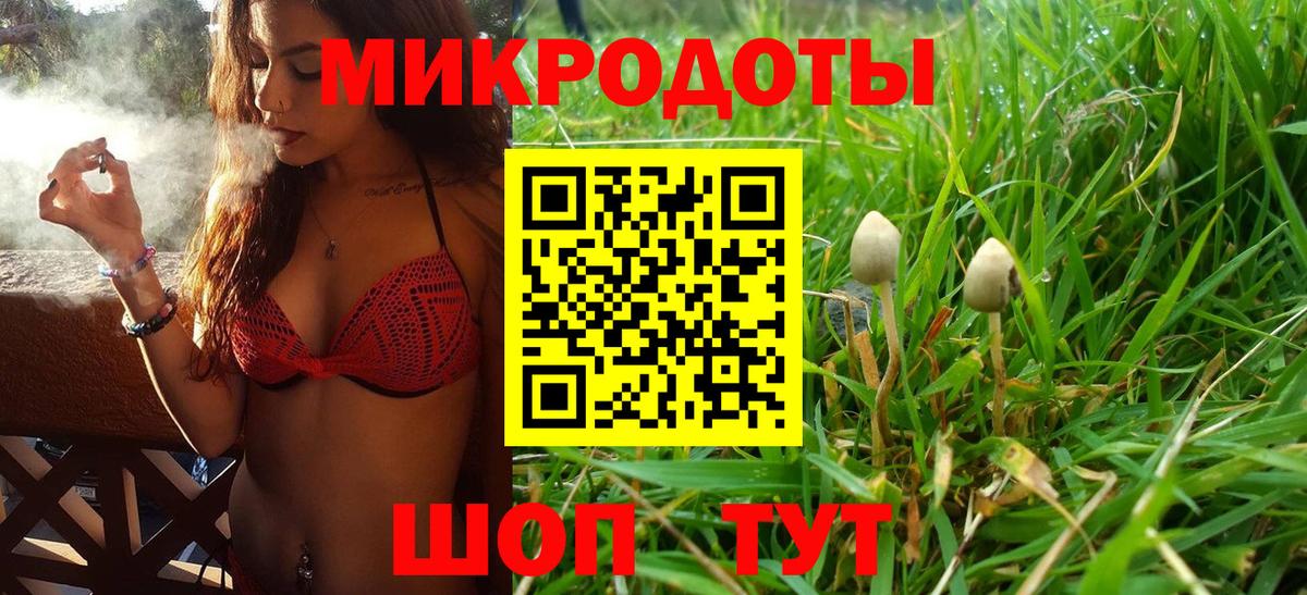 Галлюциногенные грибы Cubensis Кизляр